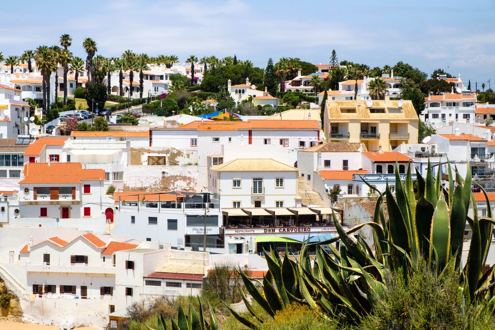 Casas brancas sobre a costa de Carvoeiro